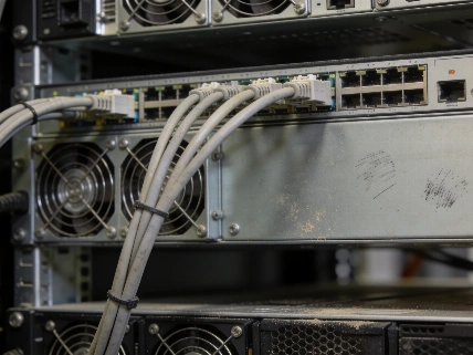 Quantum Threat Could Trigger Undetected Crypto Wallet Breaches EgonCoin